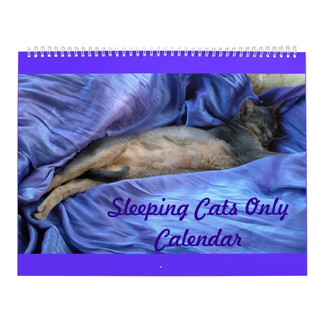 Abyssinian sova kattkalender kalender (Omslag)