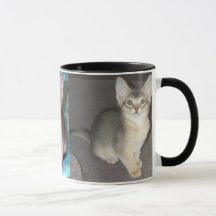 Abyssiniansk blå kattunge mugg