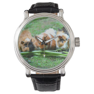 Abyssiniska guinea gris armbandsur