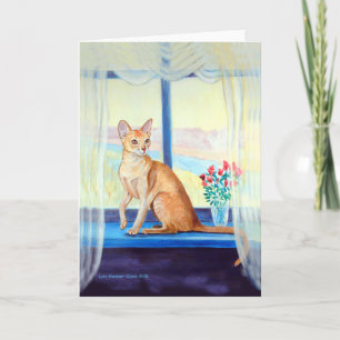 Abyssiniskt cat-gratulationskort kort