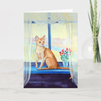 Abyssiniskt cat-gratulationskort kort