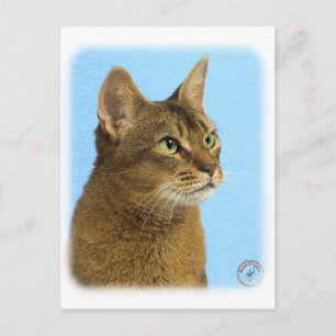 Abyssiniskt katt 9Y009D-032 Vykort