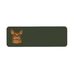 abyssinsk katt returadress etikett