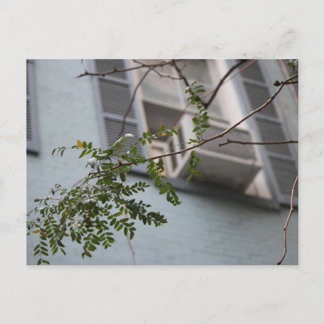 ’AC LÖVS’ POSTCARD (KOLLEKTIVT) VYKORT (Framsida)