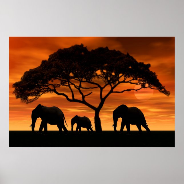 Acacia Elephant Sunset Poster (Framsidan)