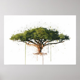 Acacia Poster