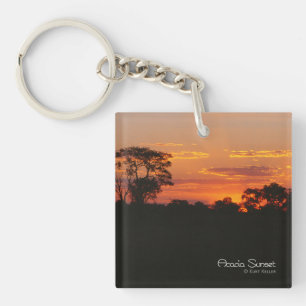 Acacia Sunset