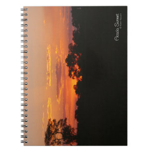 Acacia Sunset Anteckningsbok Med Spiral
