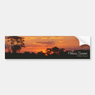Acacia Sunset Bildekal