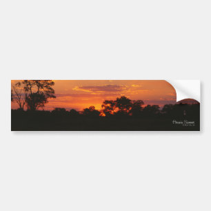 Acacia Sunset Bumper Stickers Bildekal