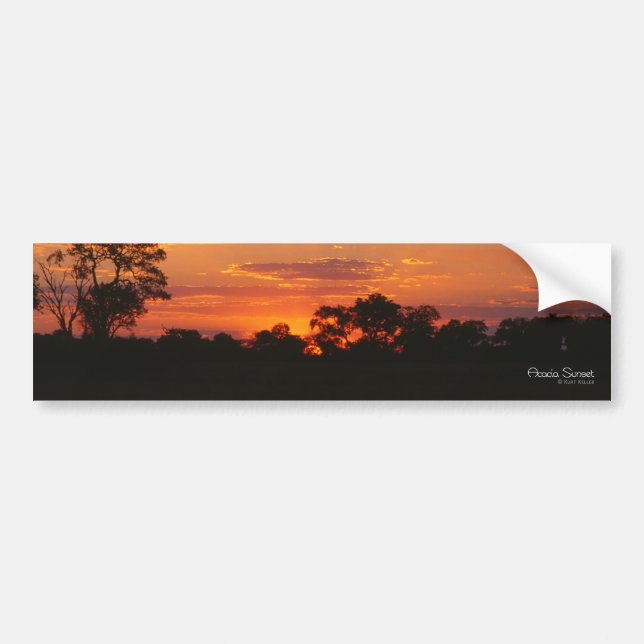 Acacia Sunset Bumper Stickers Bildekal (Framsidan)