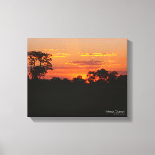 Acacia Sunset Canvastryck