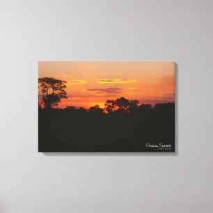 Acacia Sunset Canvastryck