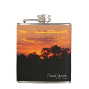Acacia Sunset Fickplunta