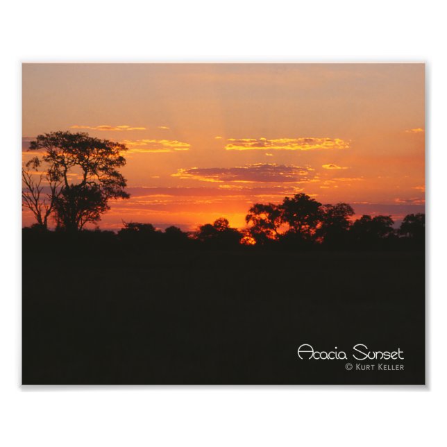 Acacia Sunset Fototryck (Framsidan)