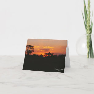 Acacia Sunset Greeting Card Kort