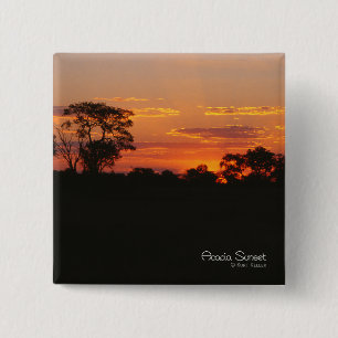Acacia Sunset Knapp