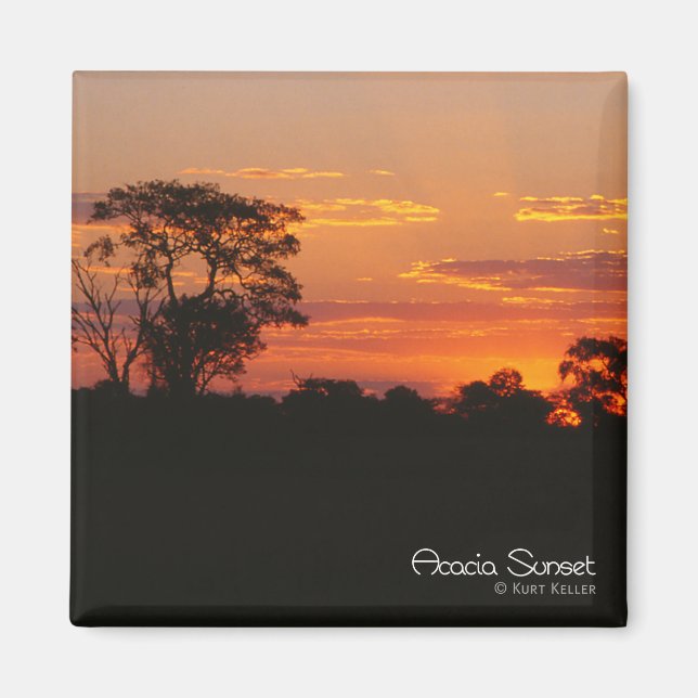 Acacia Sunset Magnet (Framsidan)