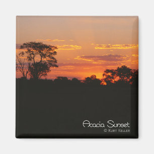 Acacia Sunset Magnet