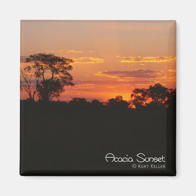Acacia Sunset Magnet (Framsidan)