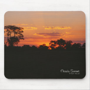 Acacia Sunset Musmatta