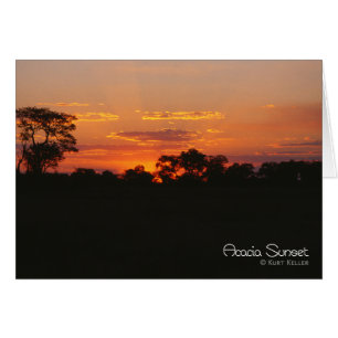 Acacia Sunset OBS Kort