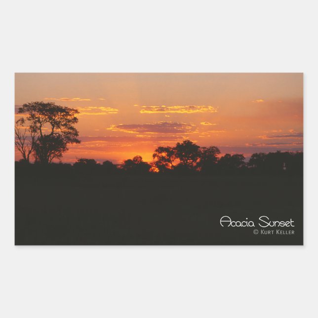Acacia Sunset Rektangulärt Klistermärke (Framsida)