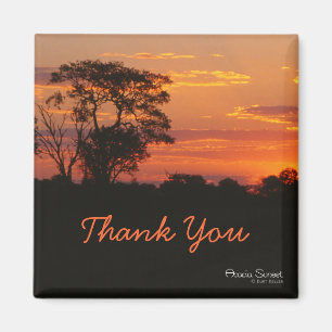 Acacia Sunset Tack Magnet
