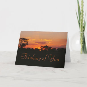 Acacia Sunset Thinking Card Kort