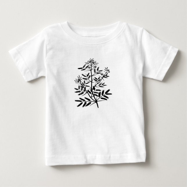Acacia Tröja (Framsida)