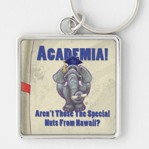 Academia Rulla Fyrkantig Silverfärgad Nyckelring