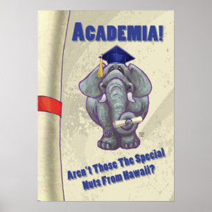 Academia Rulla Poster