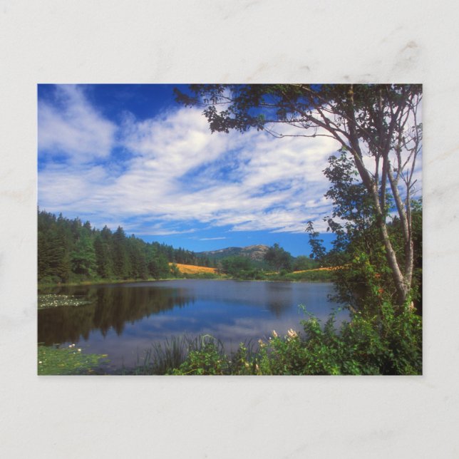 Acadia Long Pond-vy Vykort (Framsida)