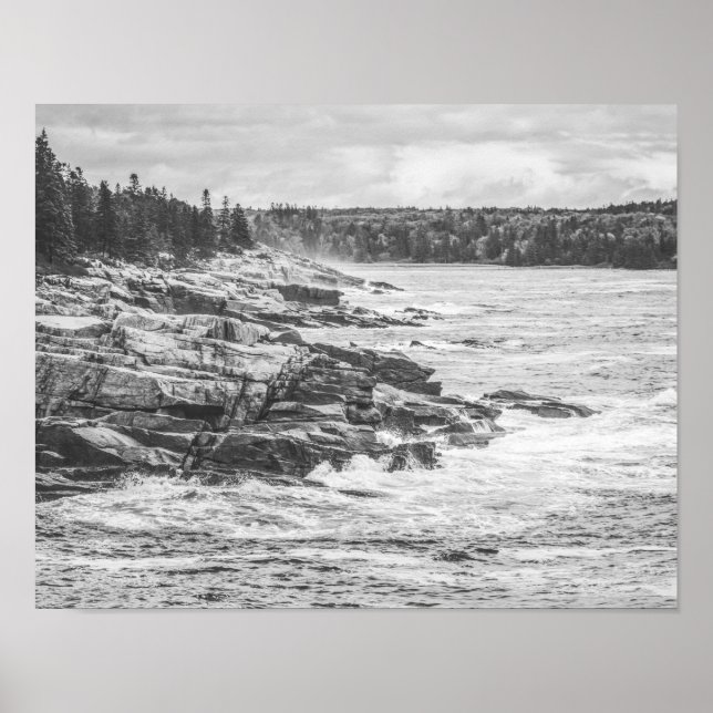 Acadia Maine Rocky Kusten Black and White Poster (Framsidan)