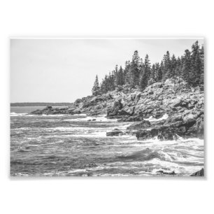 Acadia Maine Rocky Kusten Black och White Fototryck