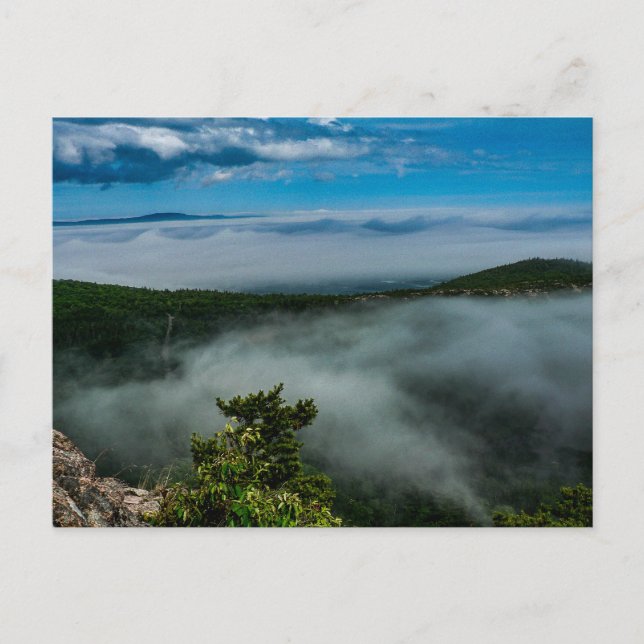 Acadia National Park i Sommaren, Maine Vykort (Framsida)