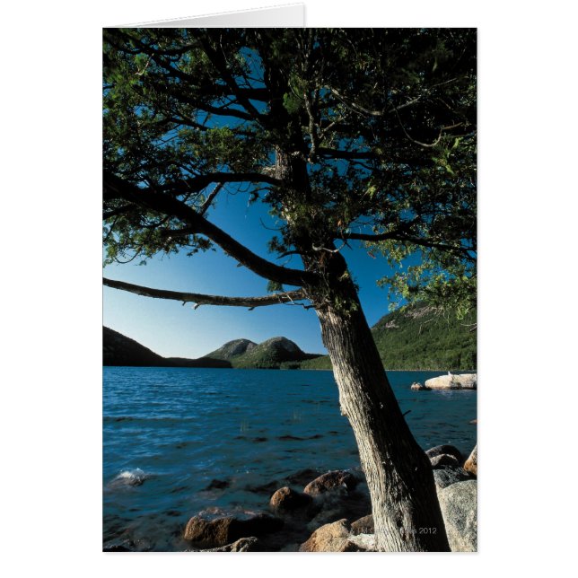 Acadia National Park , London Pond, Maine Hälsningskort (Framsidan)