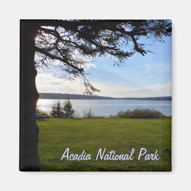 Acadia National Park, Maine Magnet (Framsidan)