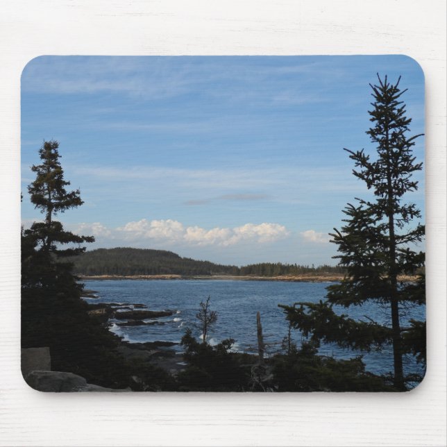 Acadia National Park, Maine Musmatta (Framsidan)