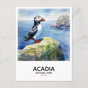 Acadia National Park - Perched Puffin Vykort