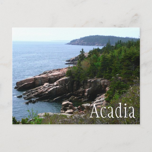 Acadia National Park Shoreline, Maine Vykort (Framsida)