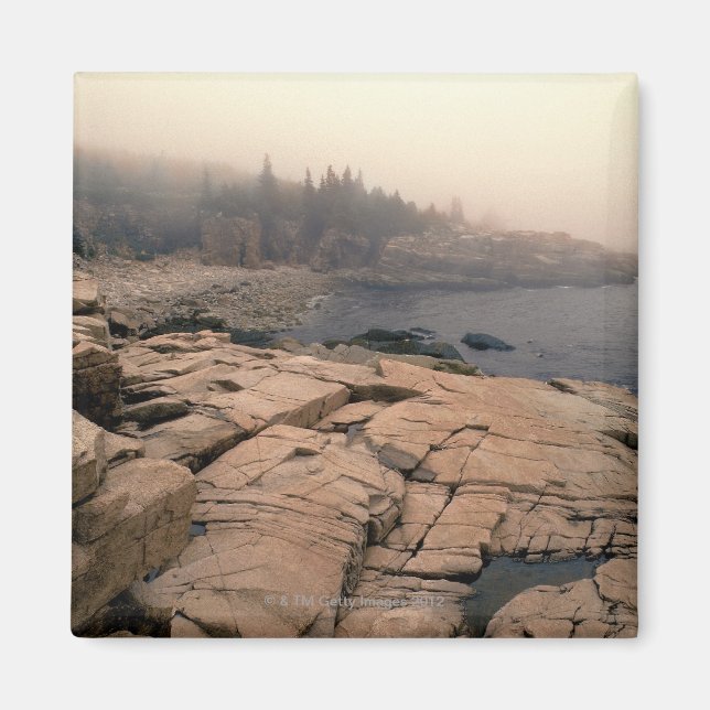 Acadia nationalpark magnet (Framsidan)