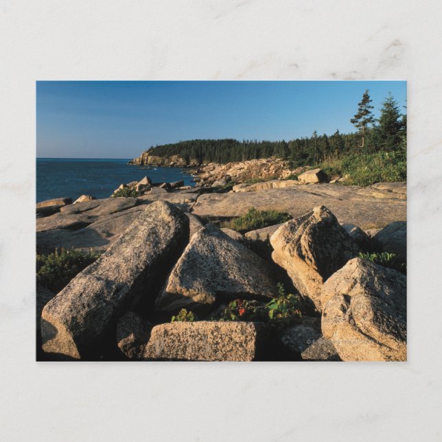 Acadia nationalpark, Maine 2 Vykort (Framsida)