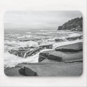 Acadia nationalpark Maine Kusten Black and White Musmatta