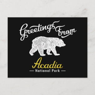 Acadia nationalparksbjörn vykort