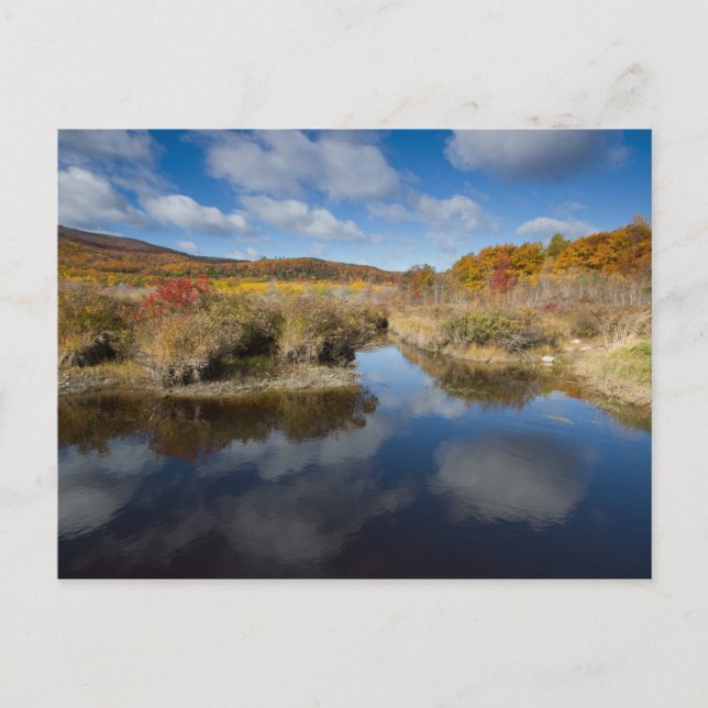 Acadia NP: färg hösten, reflektioner Vykort (Framsida)