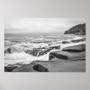 Acadia Rocky Kusten i Maine Black and White Poster
