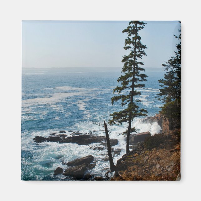 Acadia Shore Magnet - 1 (Framsidan)