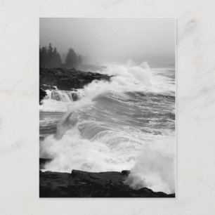 Acadia Surfa Postcard - 3 Vykort