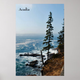 Acadiaaffisch - 1 poster